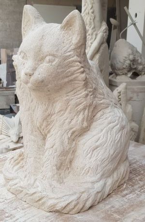 chat de trois quart mr rech